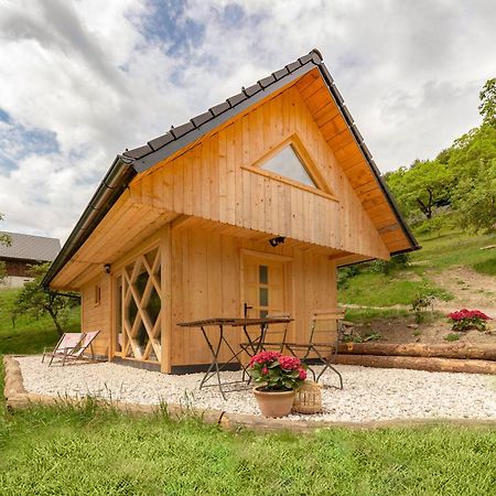 Pr' Koncovc Apartment Kranj Bagian luar foto