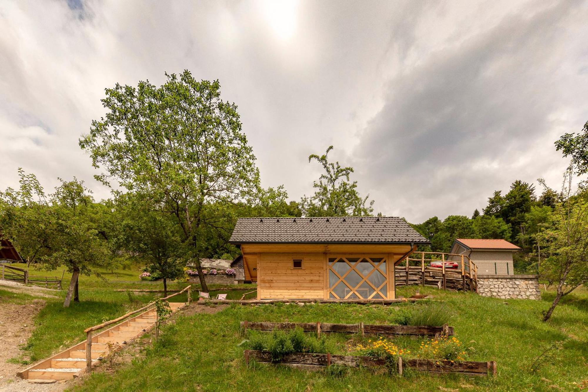 Pr' Koncovc Apartment Kranj Bagian luar foto