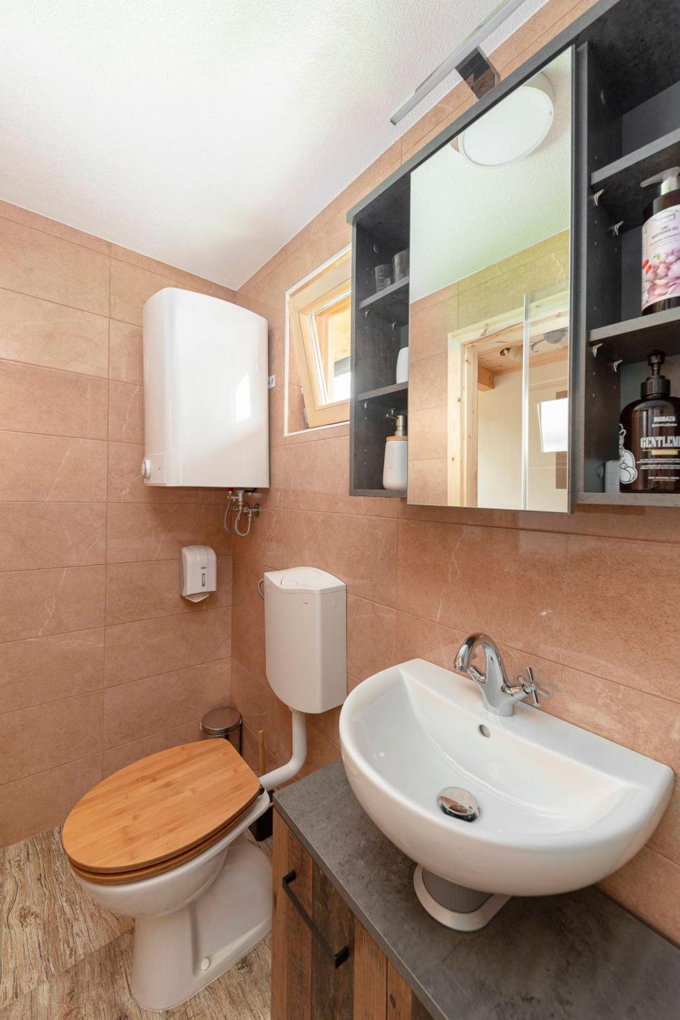 Pr' Koncovc Apartment Kranj Bagian luar foto